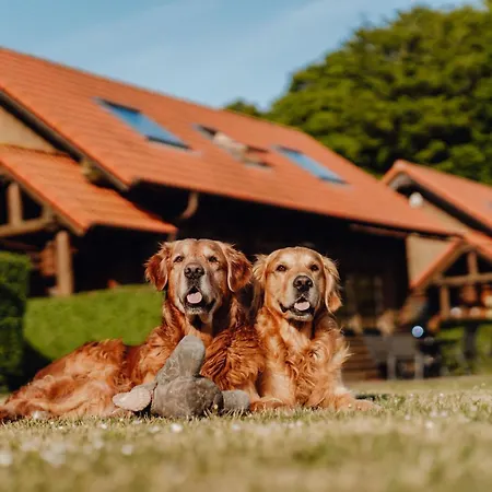 Hébergement de vacances Blockhaus Robinson Crusoe - 1 Reihe Meerblick *